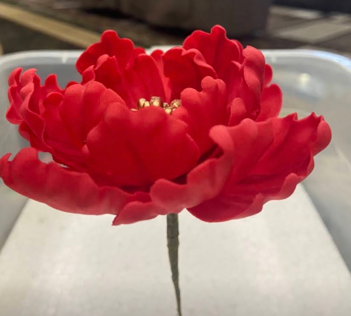 Handcrafted red sugar peony