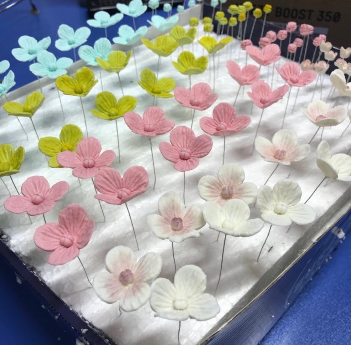 Pastel sugar hibiscus flowers with airbrushed detail
